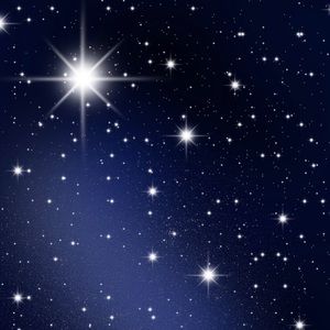 Meet your Posher, Myla